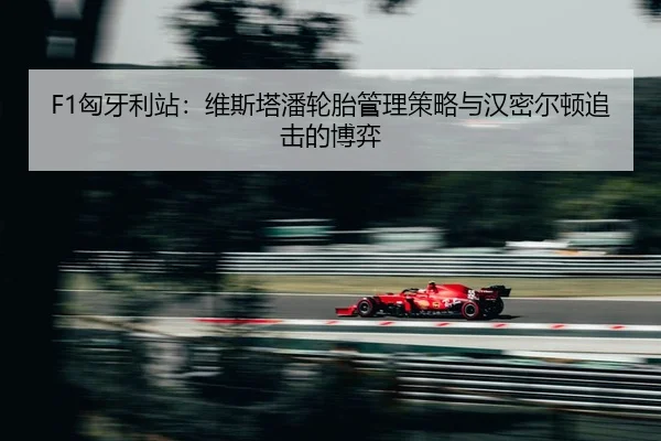 xiong-ya-li-zhan-wei-si-ta-pan-lun-tai-guan-li-ce-lve-yu-han-mi-er-dun-zhui-ji-de-bo-yi-2-539.jpg