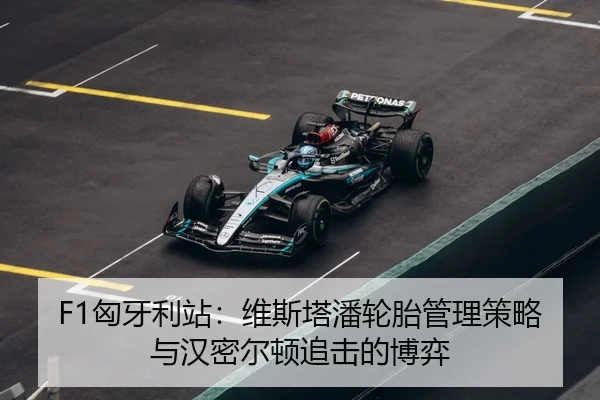 xiong-ya-li-zhan-wei-si-ta-pan-lun-tai-guan-li-ce-lve-yu-han-mi-er-dun-zhui-ji-de-bo-yi-3-542.jpg