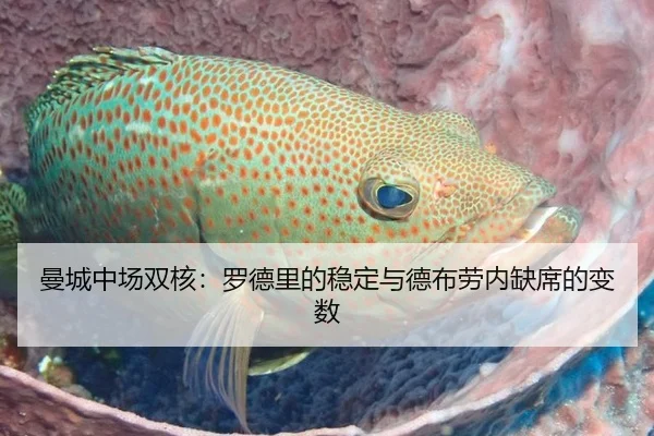 曼城中场双核：罗德里的稳定与德布劳内缺席的变数