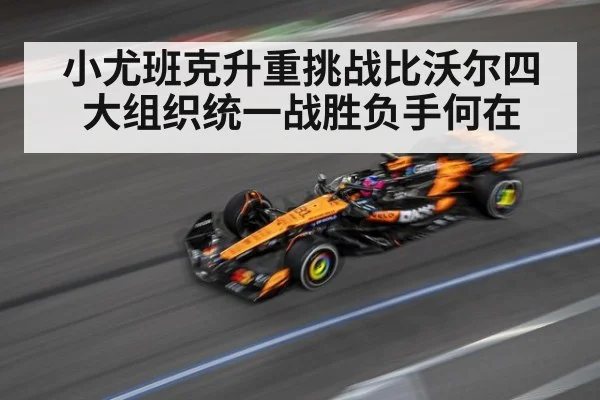 小尤班克升重挑战比沃尔四大组织统一战胜负手何在