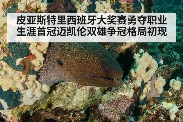 皮亚斯特里西班牙大奖赛勇夺职业生涯首冠迈凯伦双雄争冠格局初现